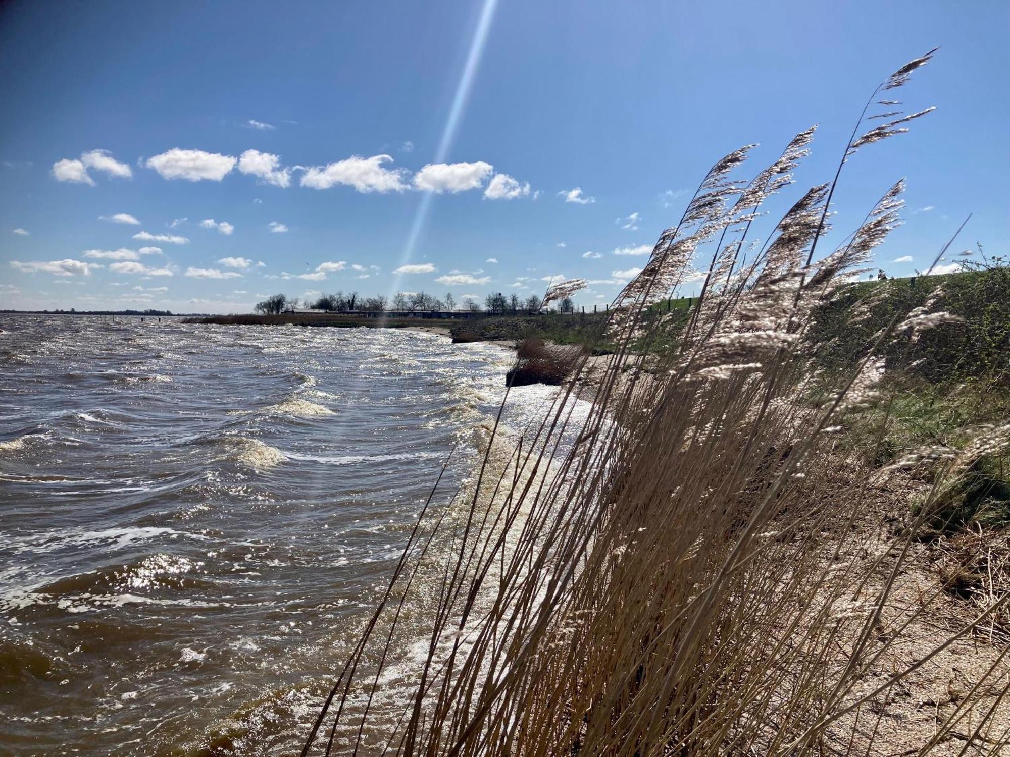Haus Gaby Direkt Am Lauwersmeer Anjum Eksteriør billede